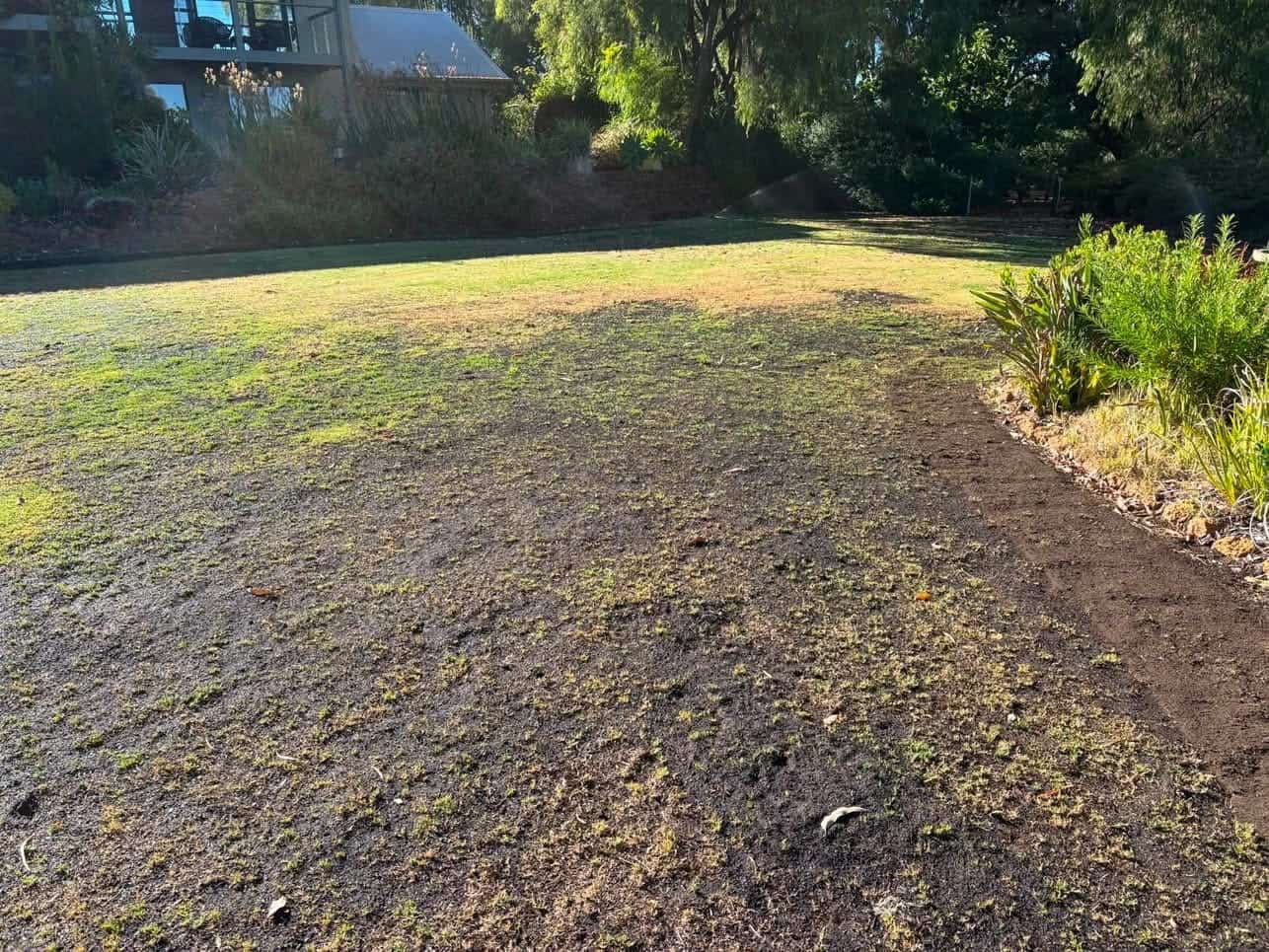 Landscaped garden beds with organic mulch