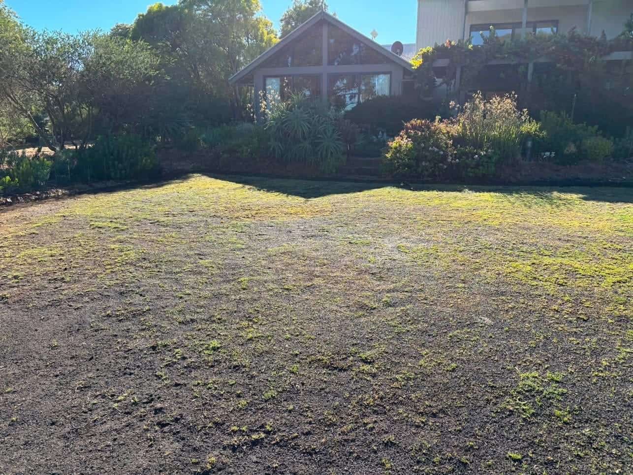 New garden establishment, South West WA