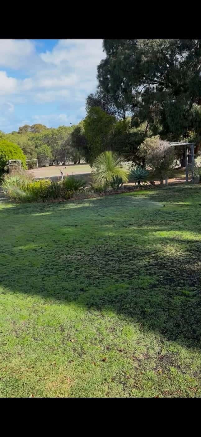 Landscaping detail — plant selection and spacing