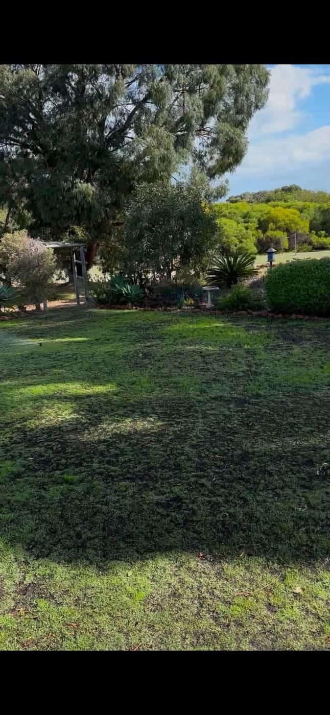 Garden transformation in progress