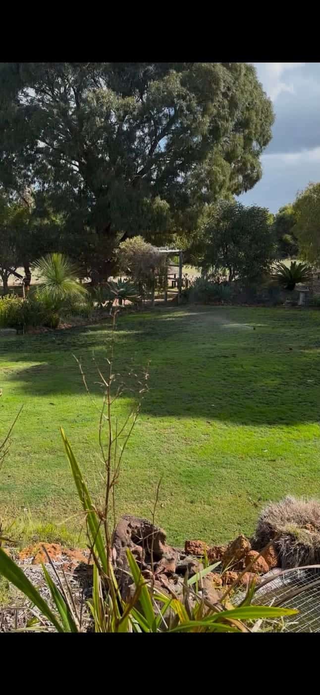 Completed planting with organic soil preparation