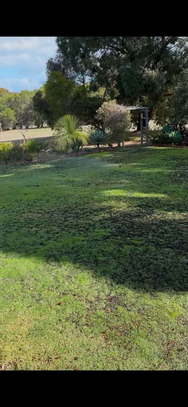 Established garden beds after organic restoration