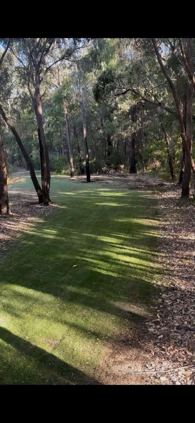 Bush-block lawn established — before