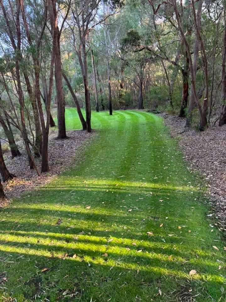Bush-block lawn established — after
