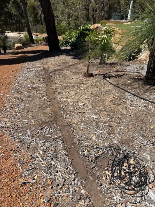Lawn and garden restoration project