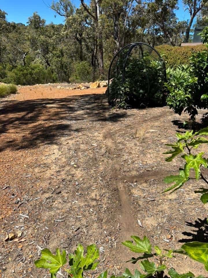 Garden restoration — soil treatment stage