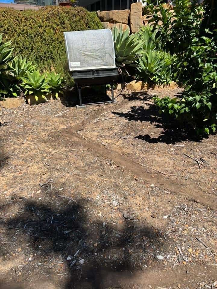 Organic lawn treatment progress