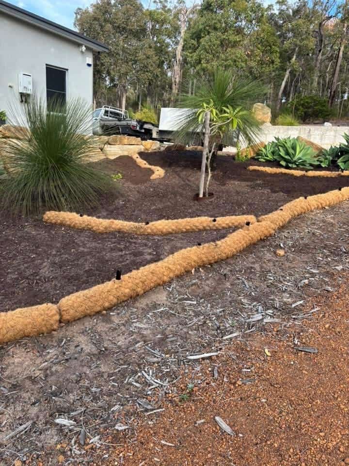 Healthy regrowth following soil restoration