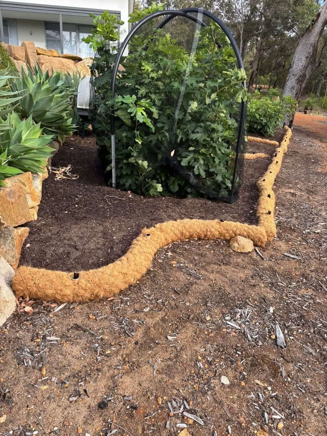 Completed garden restoration result