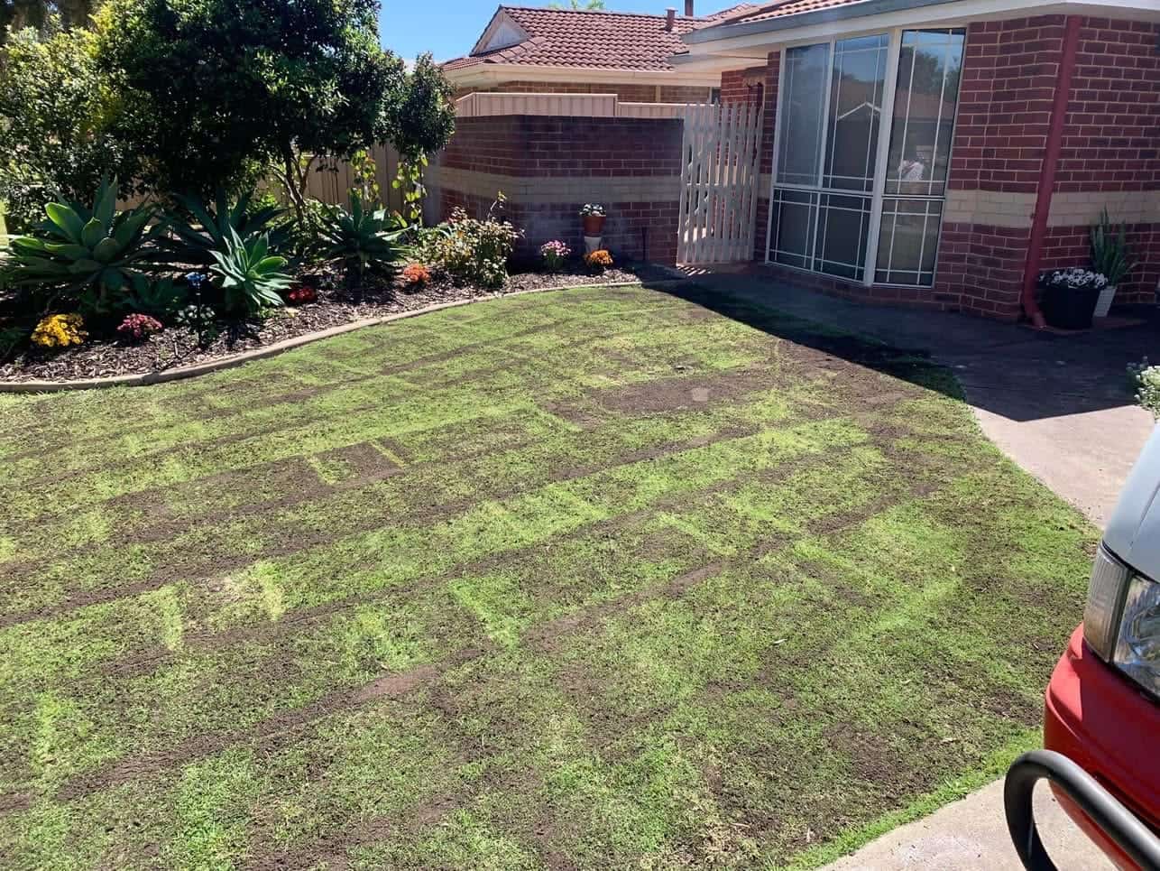 Front lawn transformation — before