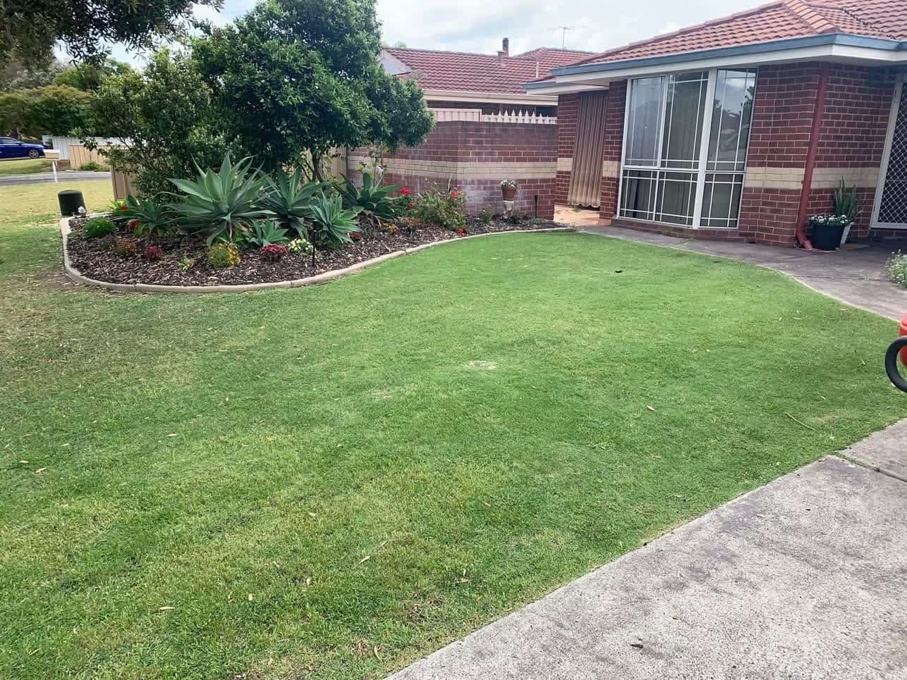 Front lawn transformation — after