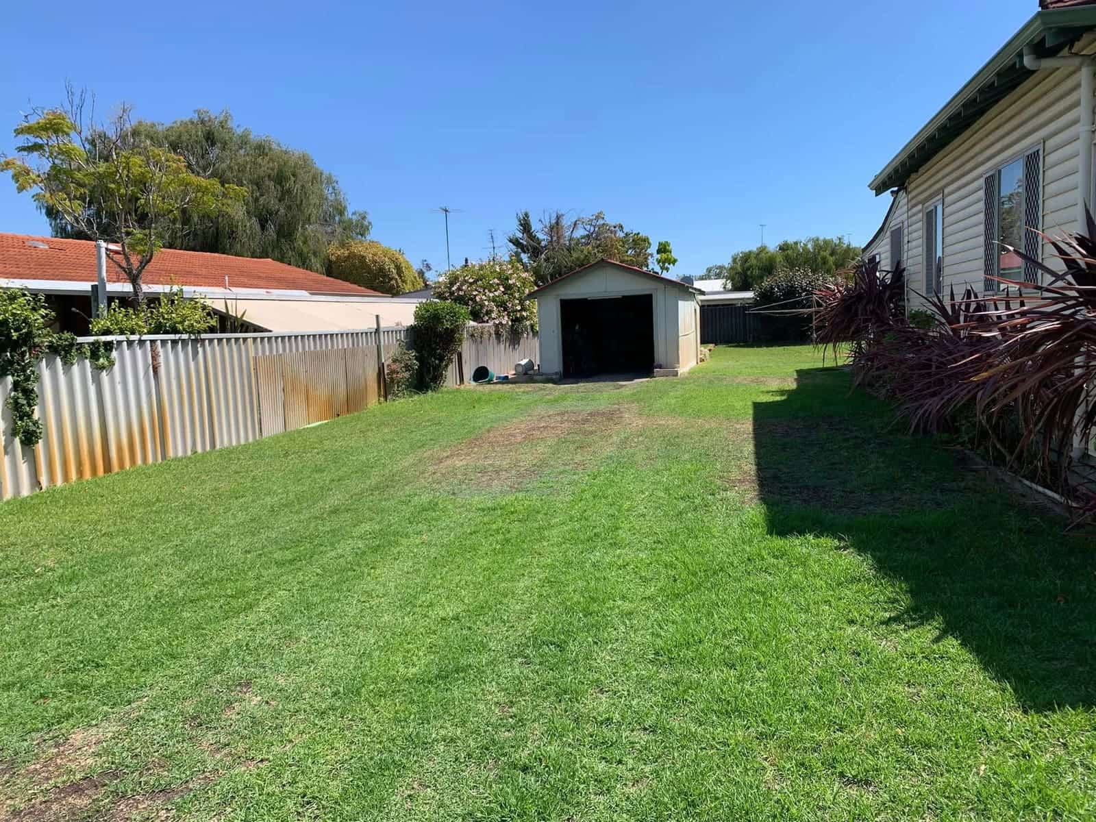 Full yard resurrection — after